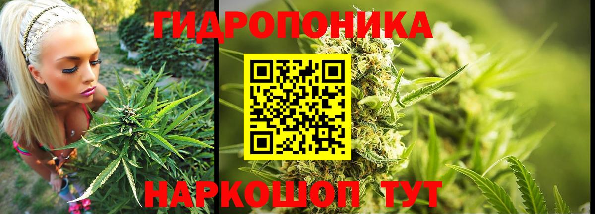 Бошки Шишки план  Каннабис White Widow  Вход с VPN  Домодедово  Канабис марихуана  Шишки марихуана семена 